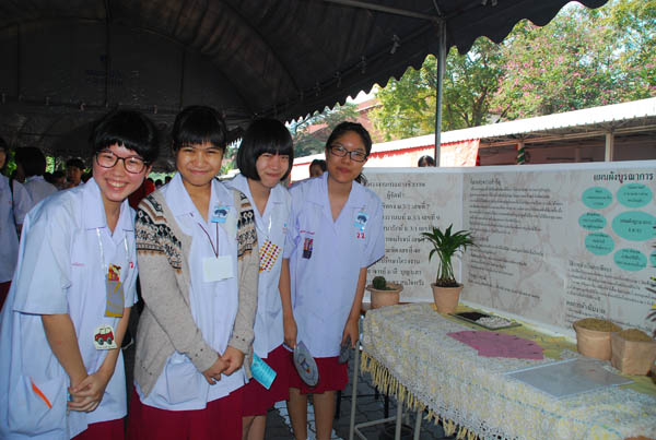 Copy of DSC_0491